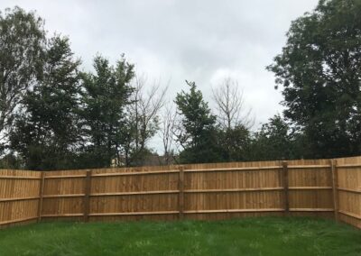 Closeboard fencing in garden